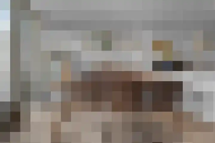 IJsvogelstraat 73 Wormer thumbnail 8