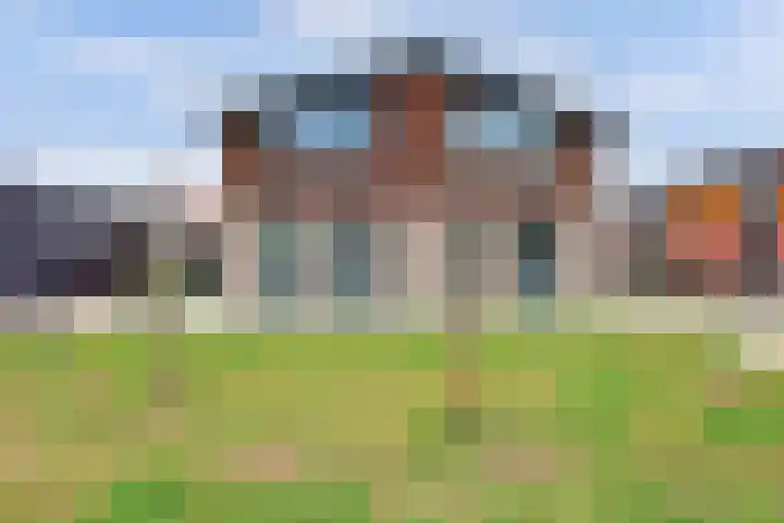 IJzeroven 52 Wehl foto 2