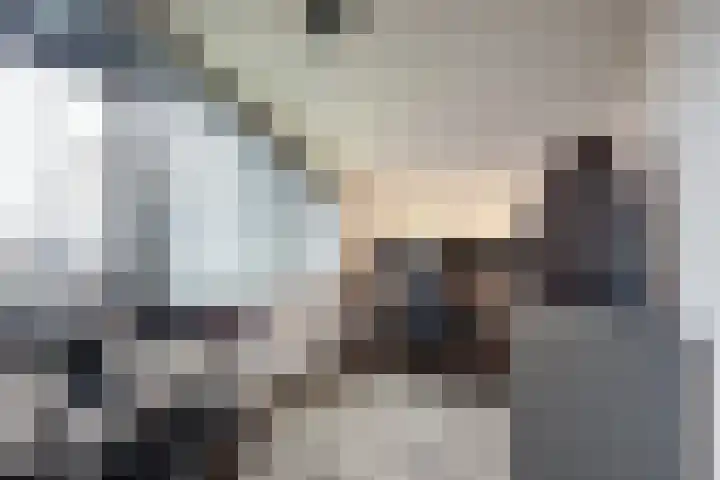 IJzeroven 52 Wehl thumbnail 22