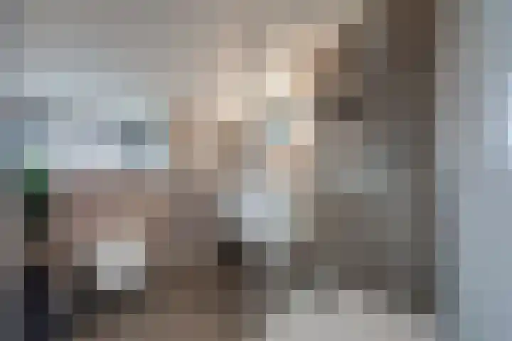 IJzeroven 52 Wehl thumbnail 23