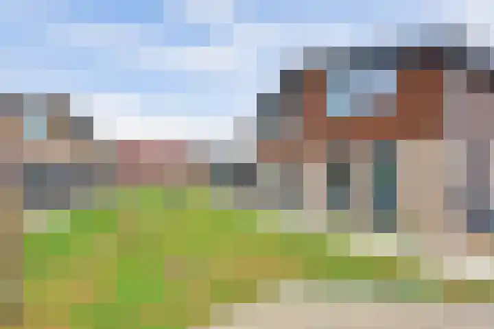 IJzeroven 52 Wehl foto 3
