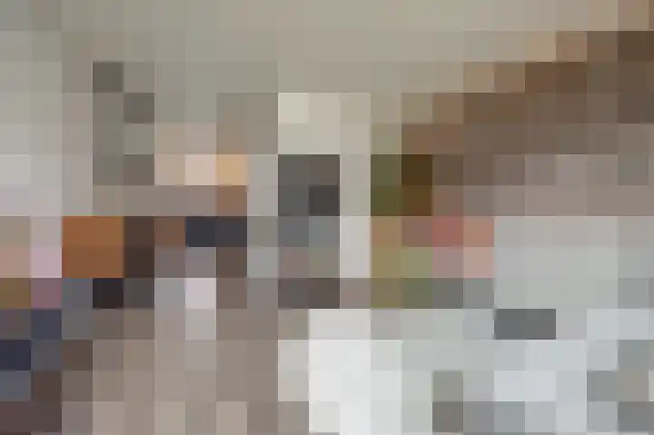IJzeroven 52 Wehl thumbnail 4