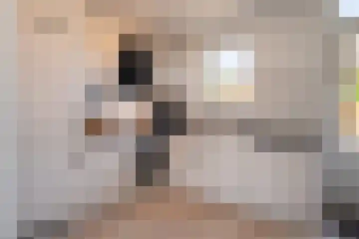 Ikaroslaan 20 Enschede thumbnail 11