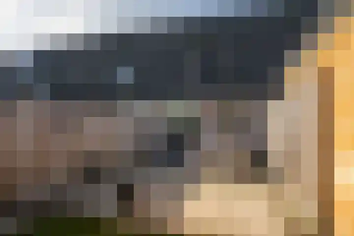 Ikaroslaan 20 Enschede thumbnail 26