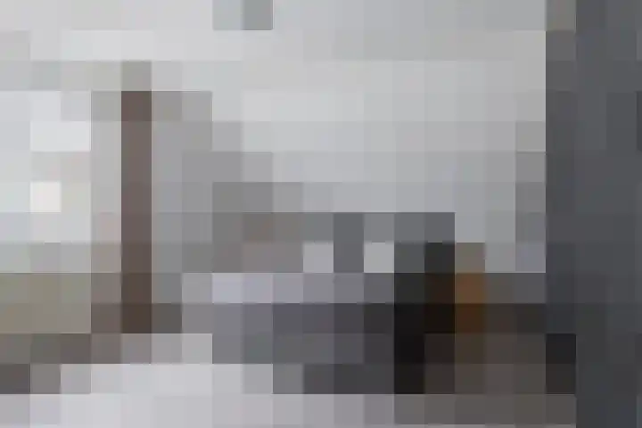 Ikeleane 13 Stiens thumbnail 19