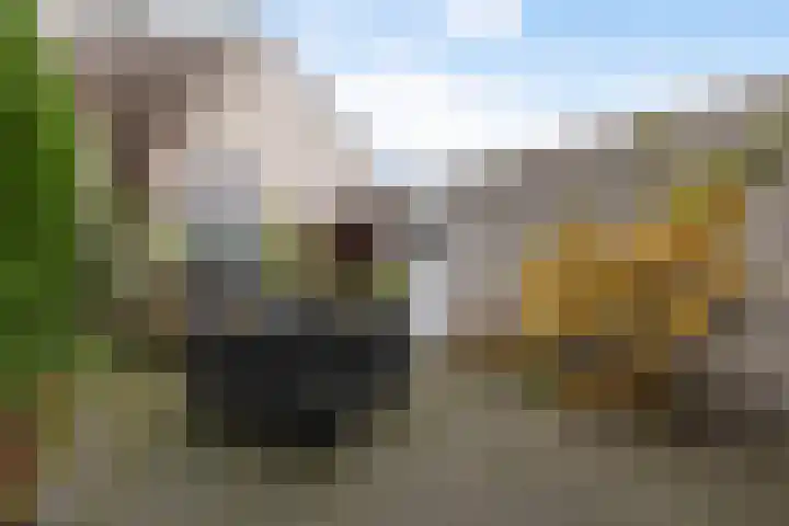 Ikeleane 13 Stiens thumbnail 32