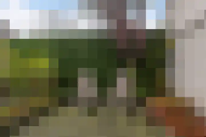 Ikeleane 13 Stiens thumbnail 34