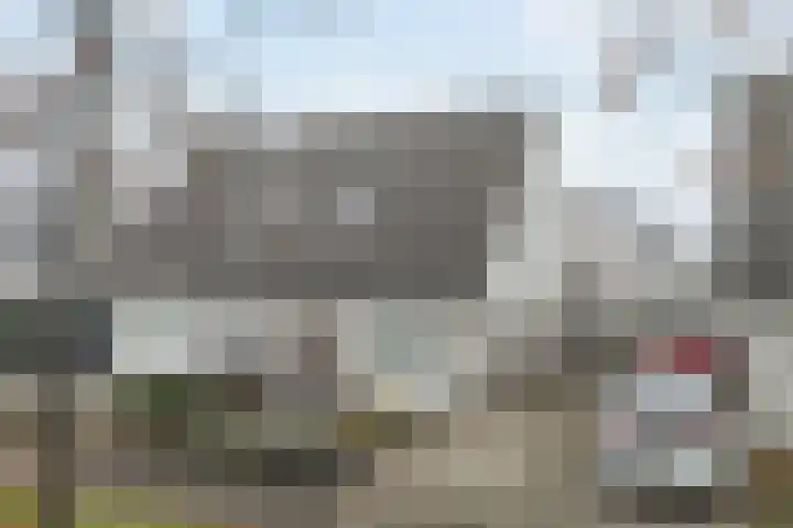 Ikeleane 13 Stiens thumbnail 36