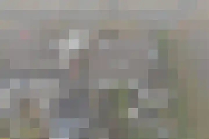 Ikeleane 13 Stiens thumbnail 39
