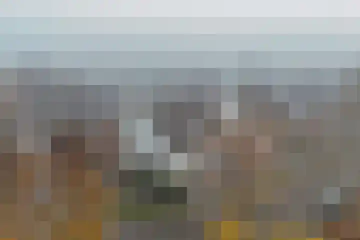 Ikeleane 13 Stiens thumbnail 40