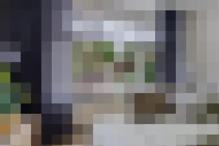 Ikeloane 27 Harkema thumbnail 10
