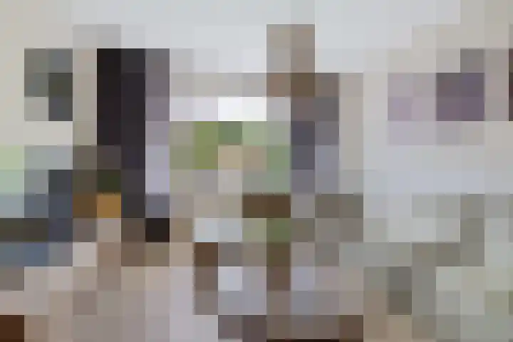 Ikeloane 27 Harkema thumbnail 12