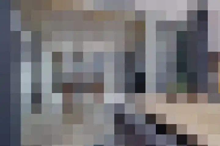 Ikeloane 27 Harkema thumbnail 14