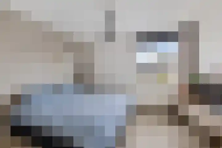Ikeloane 27 Harkema thumbnail 20