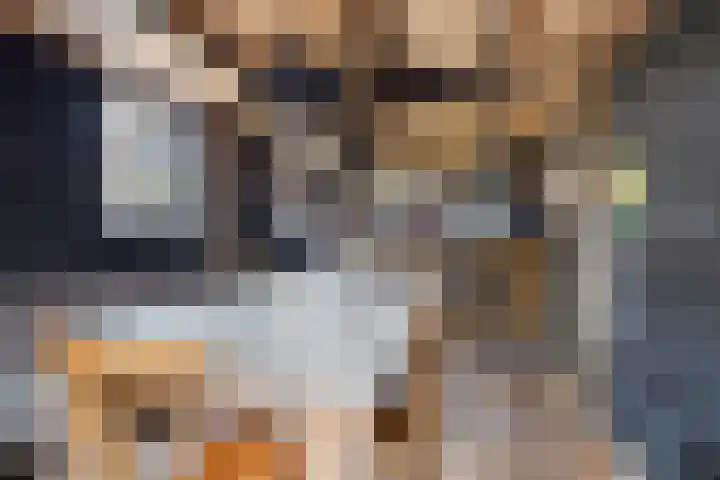 Ikeloane 27 Harkema thumbnail 30