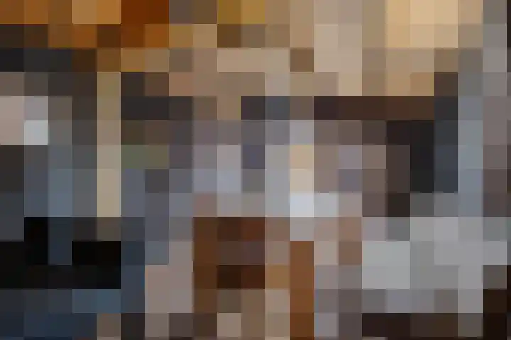 Ikeloane 27 Harkema thumbnail 31