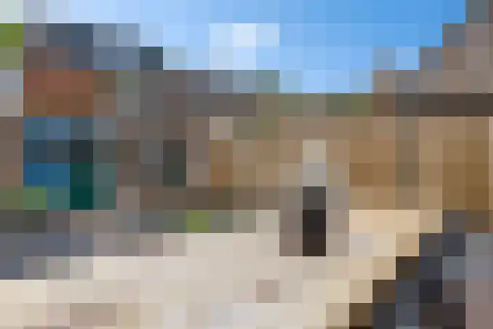 Ikeloane 27 Harkema thumbnail 34