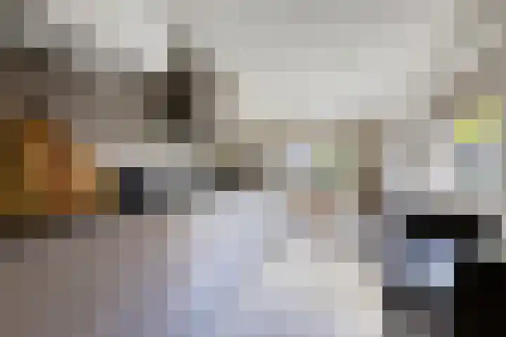 Ikewei 1 Ureterp thumbnail 10