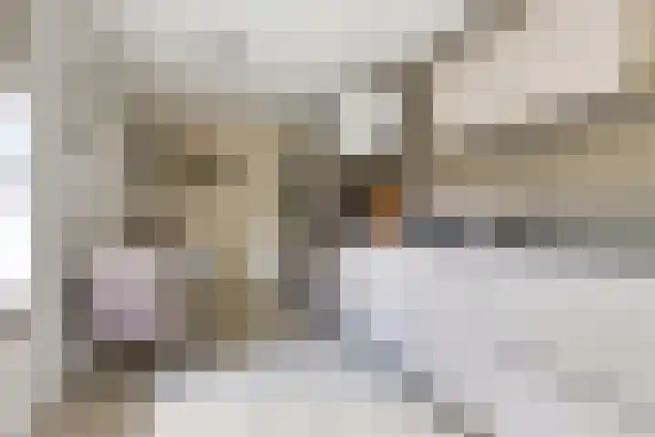 Ikewei 1 Ureterp thumbnail 11