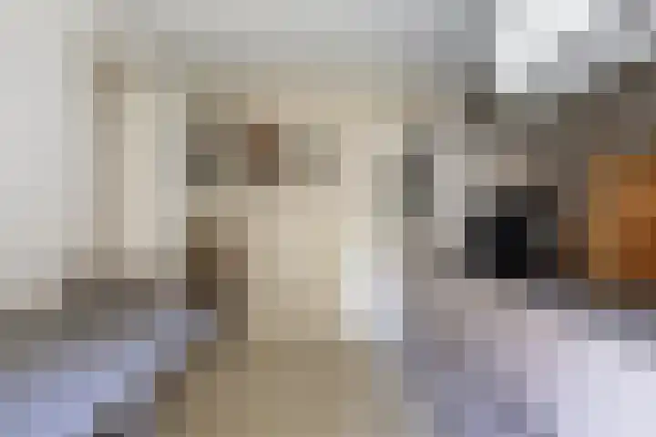 Ikewei 1 Ureterp thumbnail 12