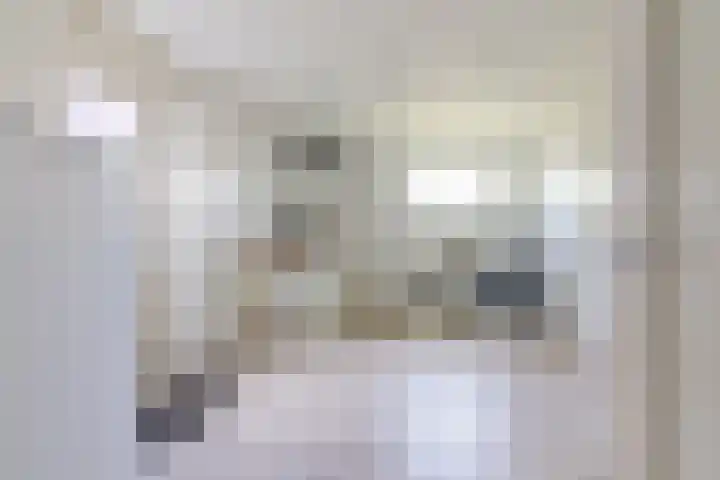 Ikewei 1 Ureterp thumbnail 14