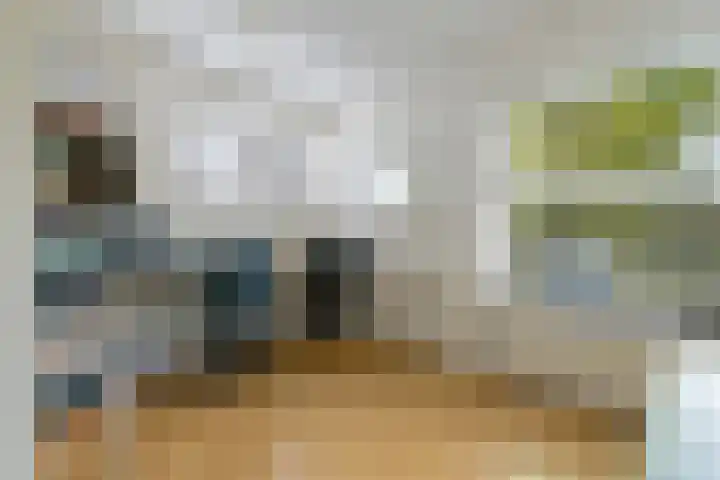 Ikewei 1 Ureterp thumbnail 16