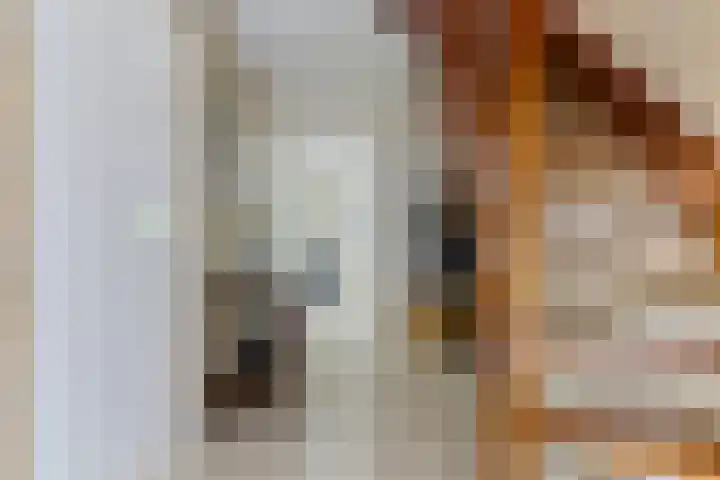 Ikewei 1 Ureterp thumbnail 19