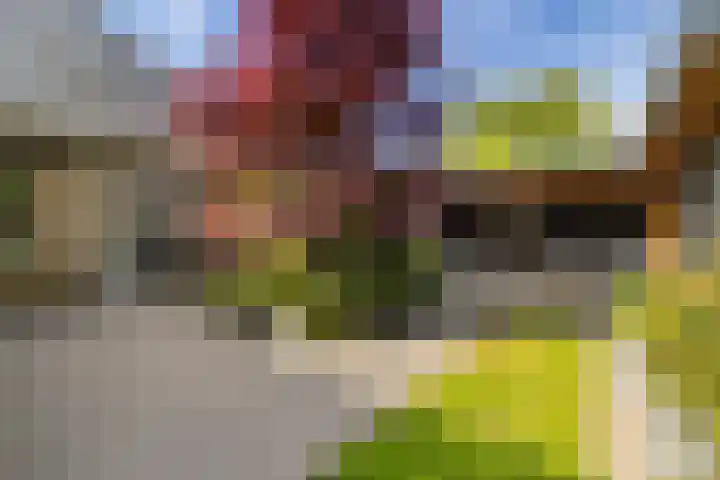 Ikewei 1 Ureterp foto 2