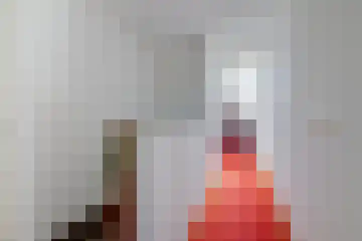 Ikewei 1 Ureterp thumbnail 21