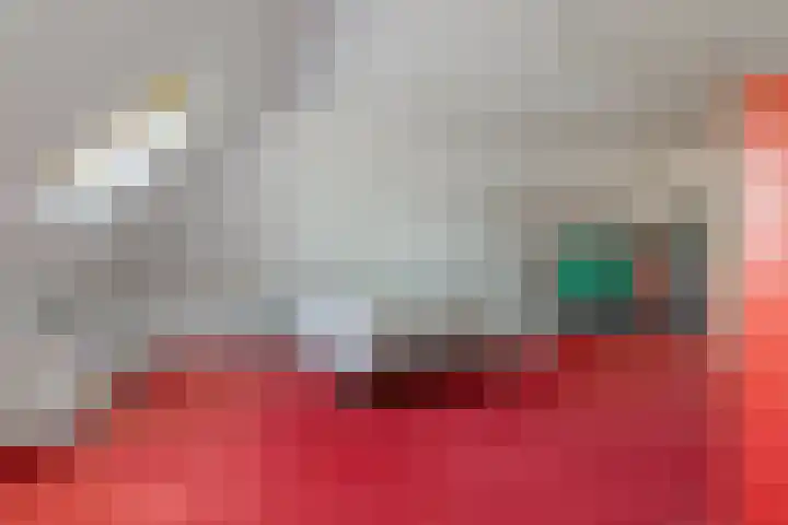 Ikewei 1 Ureterp thumbnail 24