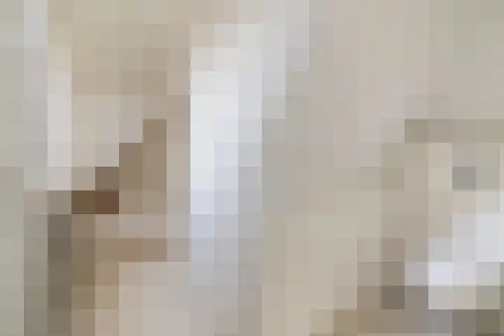 Ikewei 1 Ureterp thumbnail 32