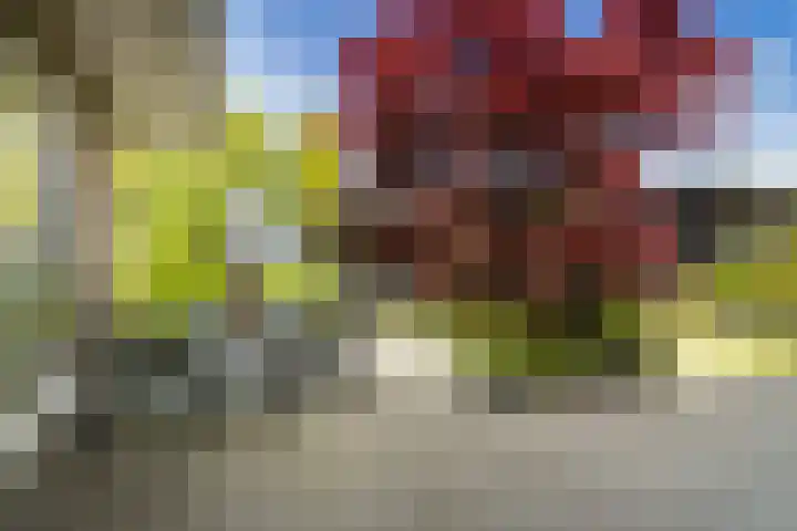 Ikewei 1 Ureterp thumbnail 35