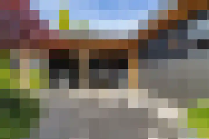 Ikewei 1 Ureterp thumbnail 36