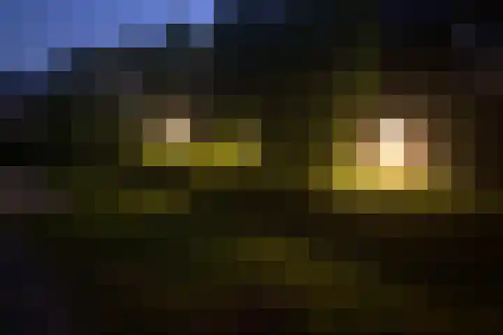 Ikewei 1 Ureterp thumbnail 39