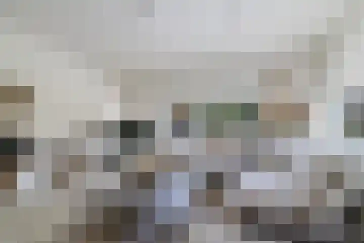 Ikewei 1 Ureterp thumbnail 4