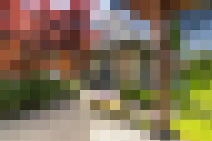 Ikewei 1 Ureterp thumbnail 40