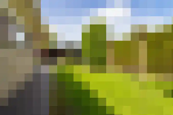 Ikewei 1 Ureterp thumbnail 42