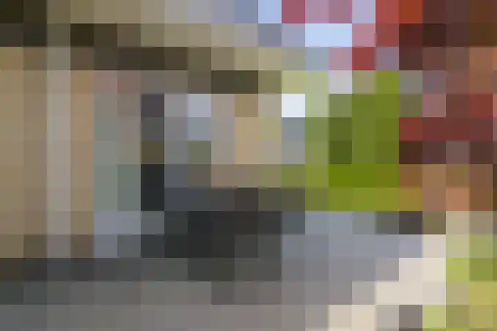 Ikewei 1 Ureterp thumbnail 43