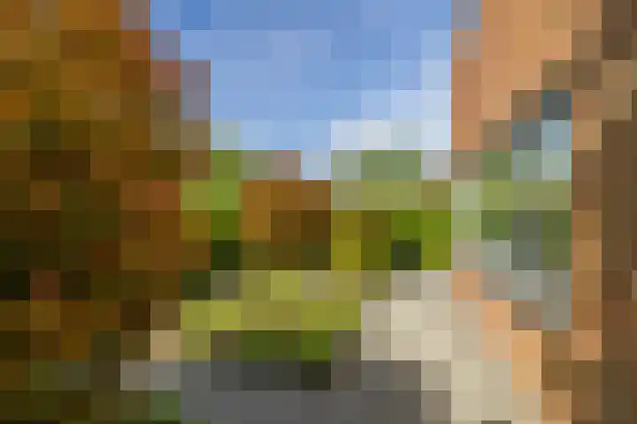 Ikewei 1 Ureterp thumbnail 44