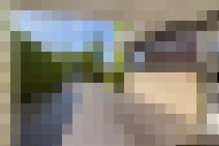 Ikewei 1 Ureterp thumbnail 46