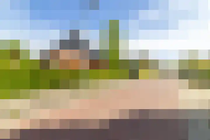 Ikewei 1 Ureterp thumbnail 47