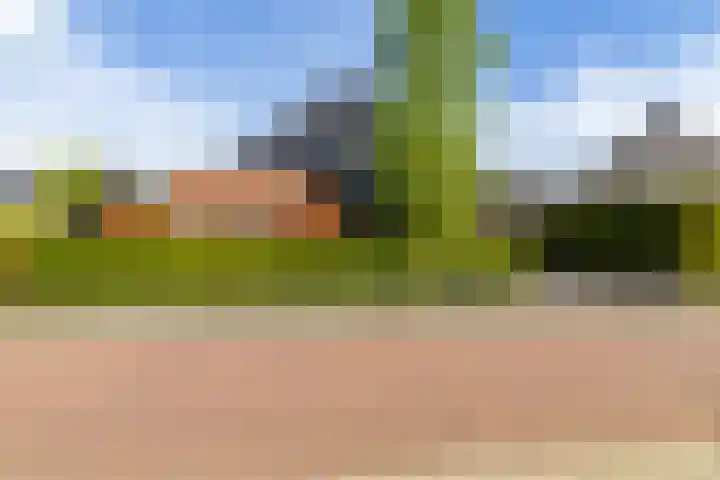 Ikewei 1 Ureterp thumbnail 48