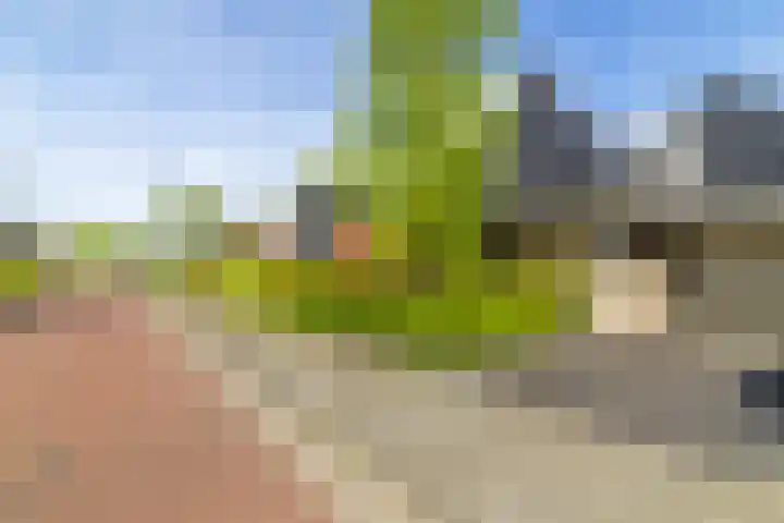 Ikewei 1 Ureterp thumbnail 49