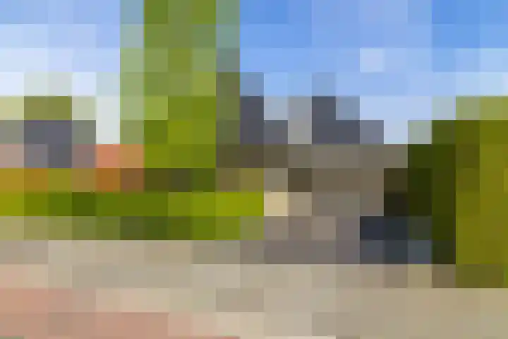 Ikewei 1 Ureterp thumbnail 56