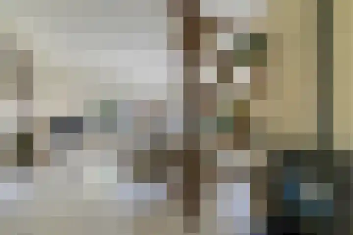 Ikewei 1 Ureterp thumbnail 6