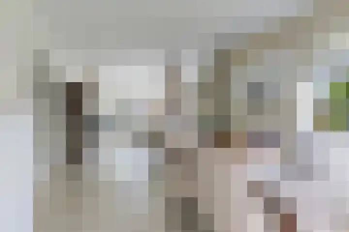 Ikewei 1 Ureterp thumbnail 7