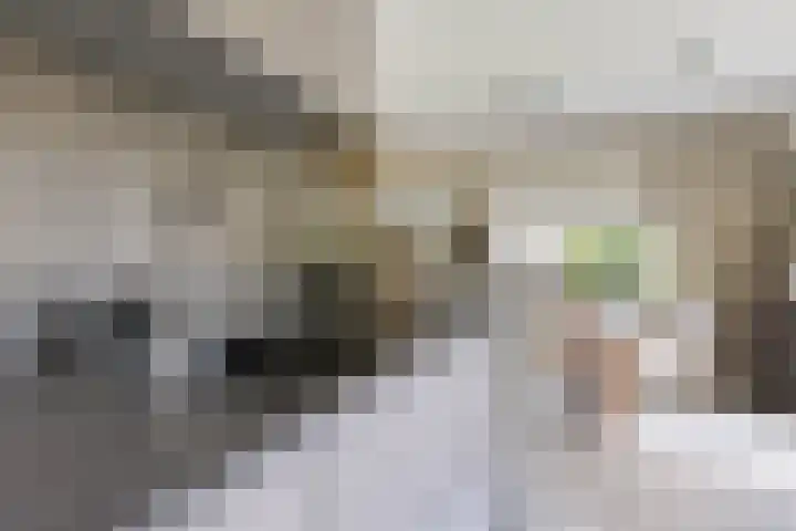 Ikewei 1 Ureterp thumbnail 9