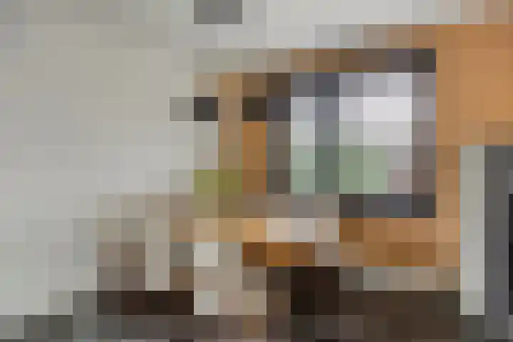 Ikihof 1 Almere thumbnail 8