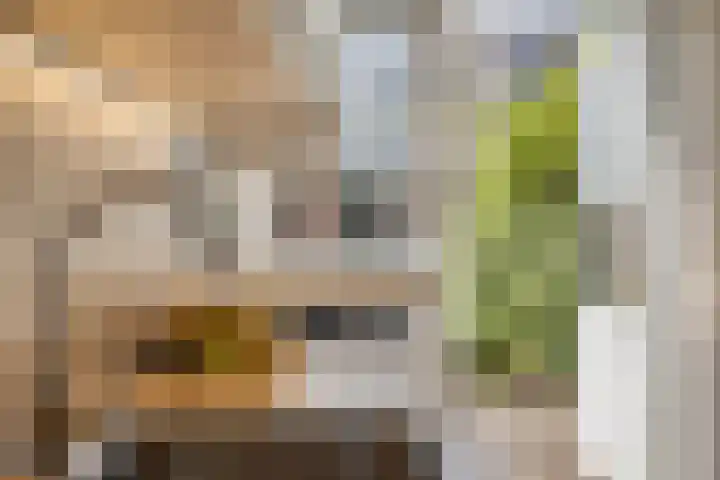 Iliumstraat 10 Eindhoven thumbnail 12