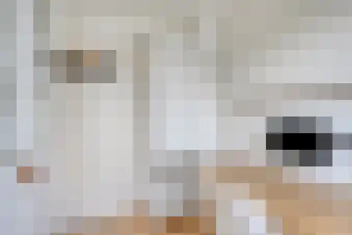 Iliumstraat 10 Eindhoven thumbnail 23